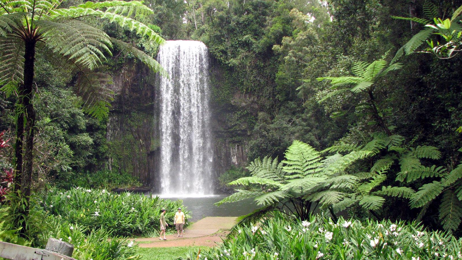 The best waterfalls in Far North Queensland