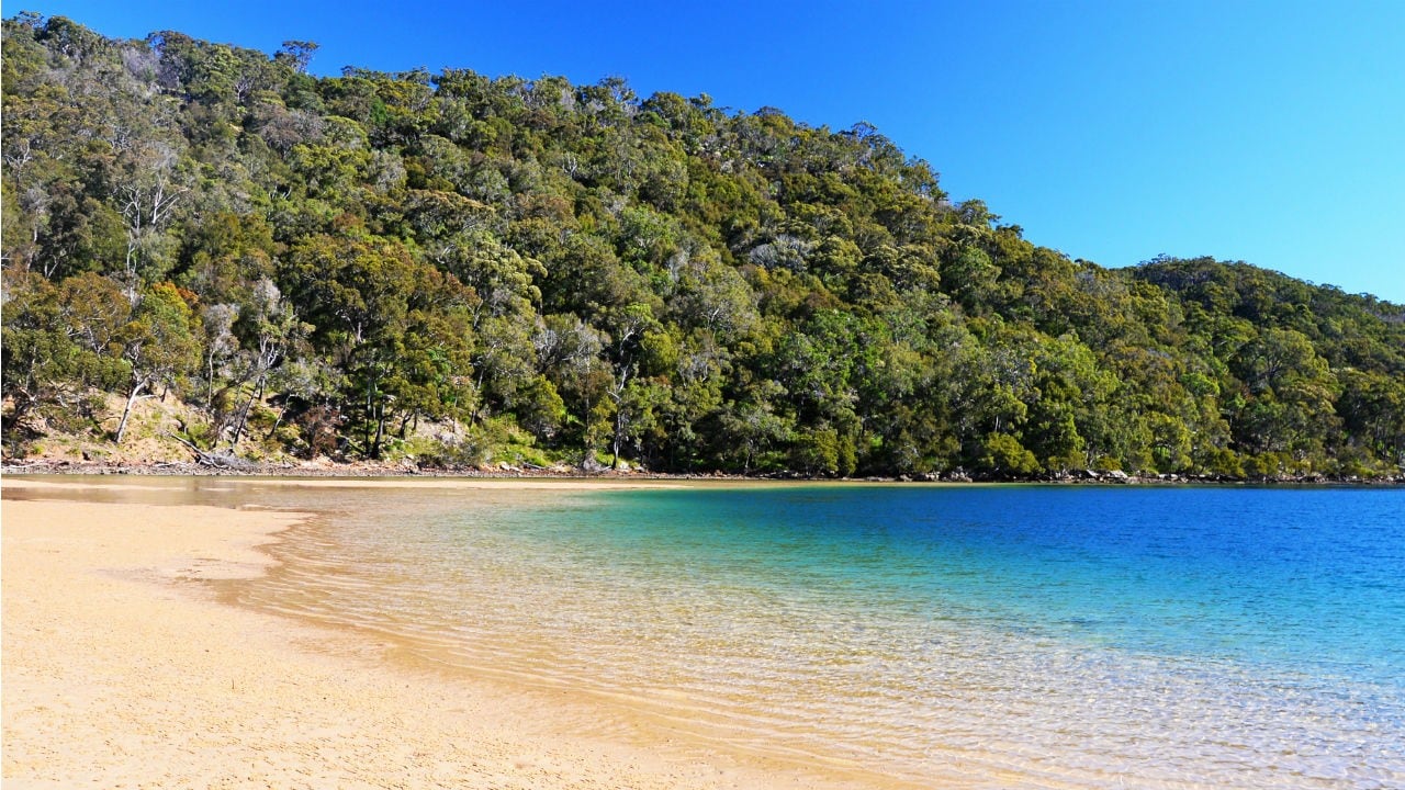 Daintree National Park
