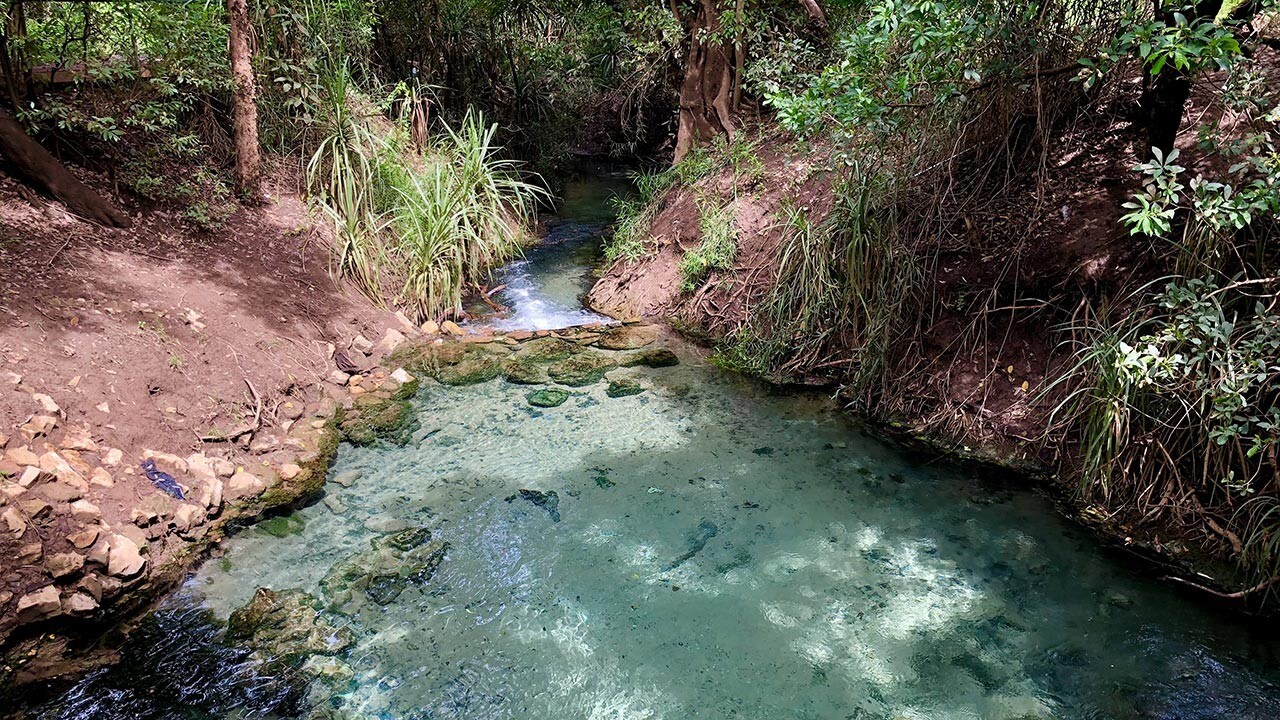 Daintree National Park